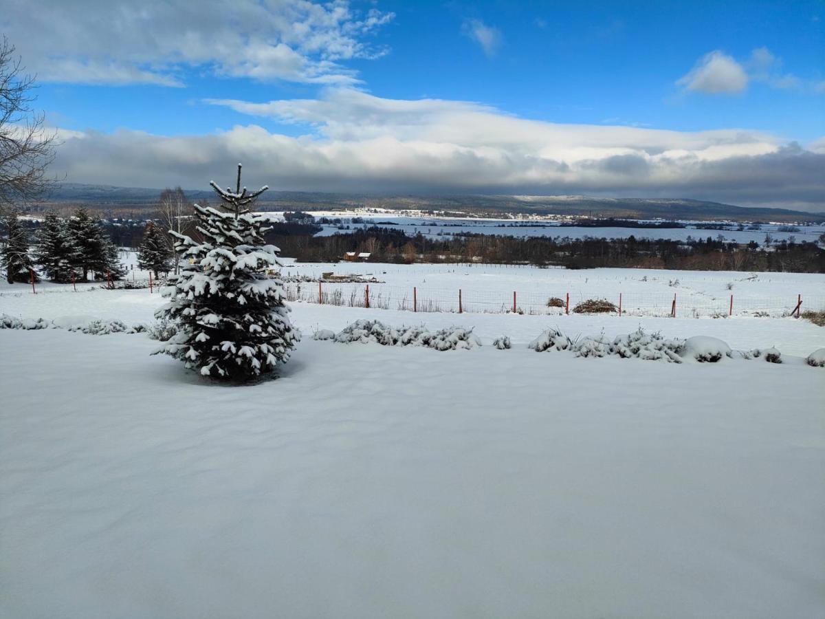 Příbram Panorama House Brdyヴィラ エクステリア 写真