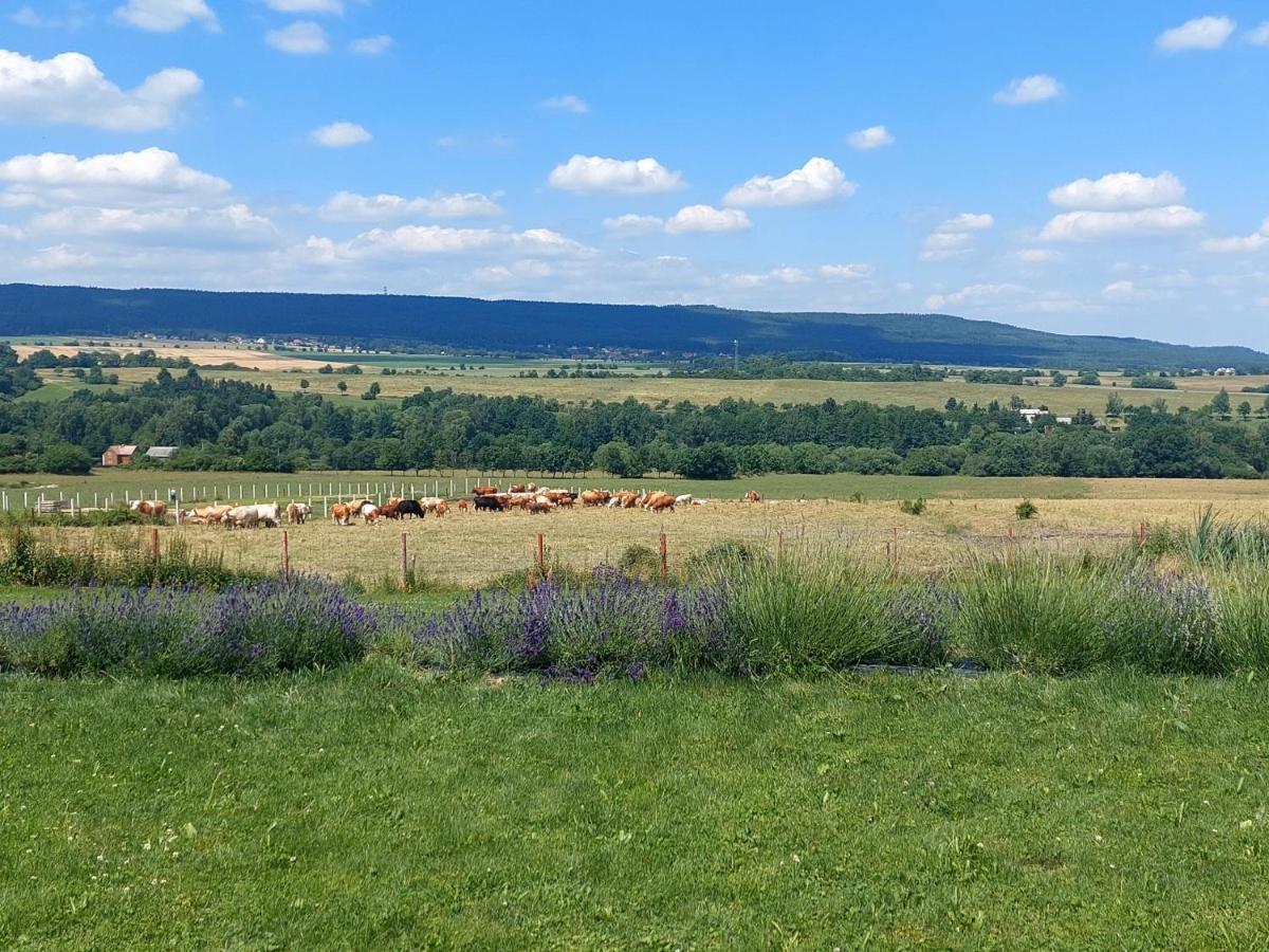 Příbram Panorama House Brdyヴィラ エクステリア 写真