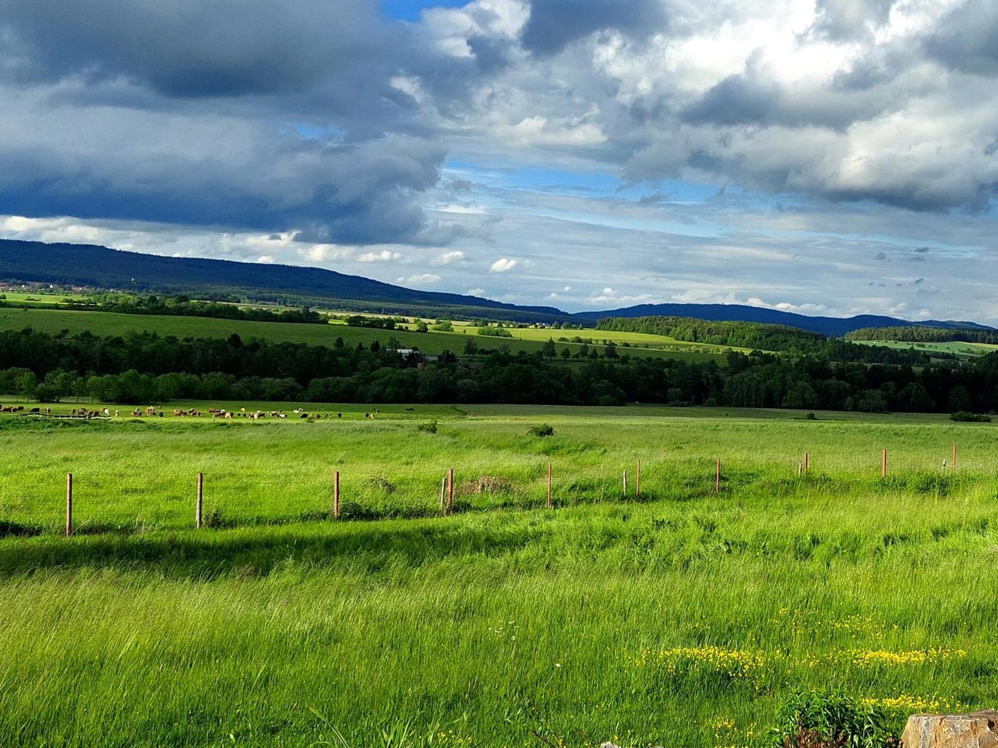 Příbram Panorama House Brdyヴィラ エクステリア 写真